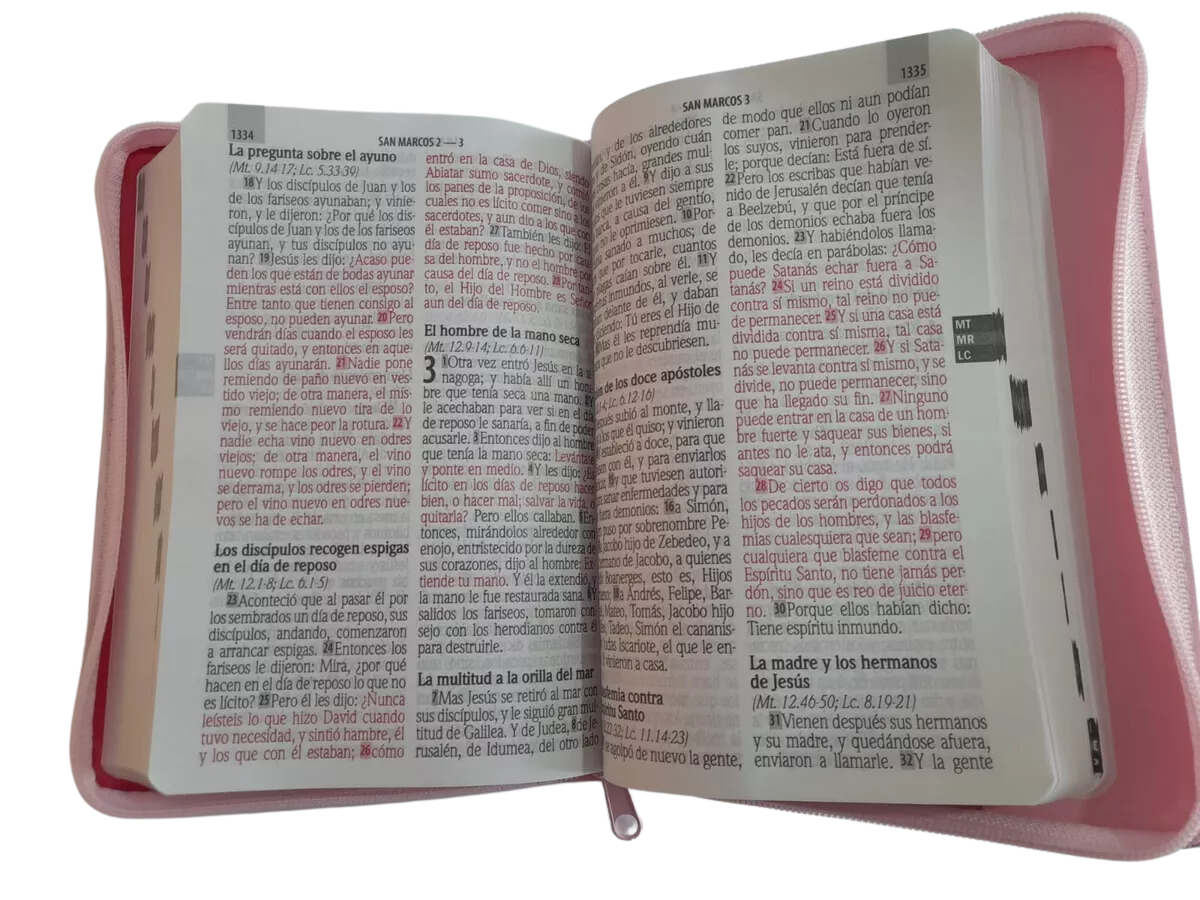 Biblia Reina Valera 1960 Letra Gigante Con Cierre Rosado bicolor
