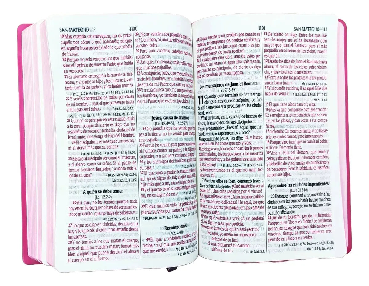 Biblia Reina Valera 1960 Letra Grande Diseño León Rosa