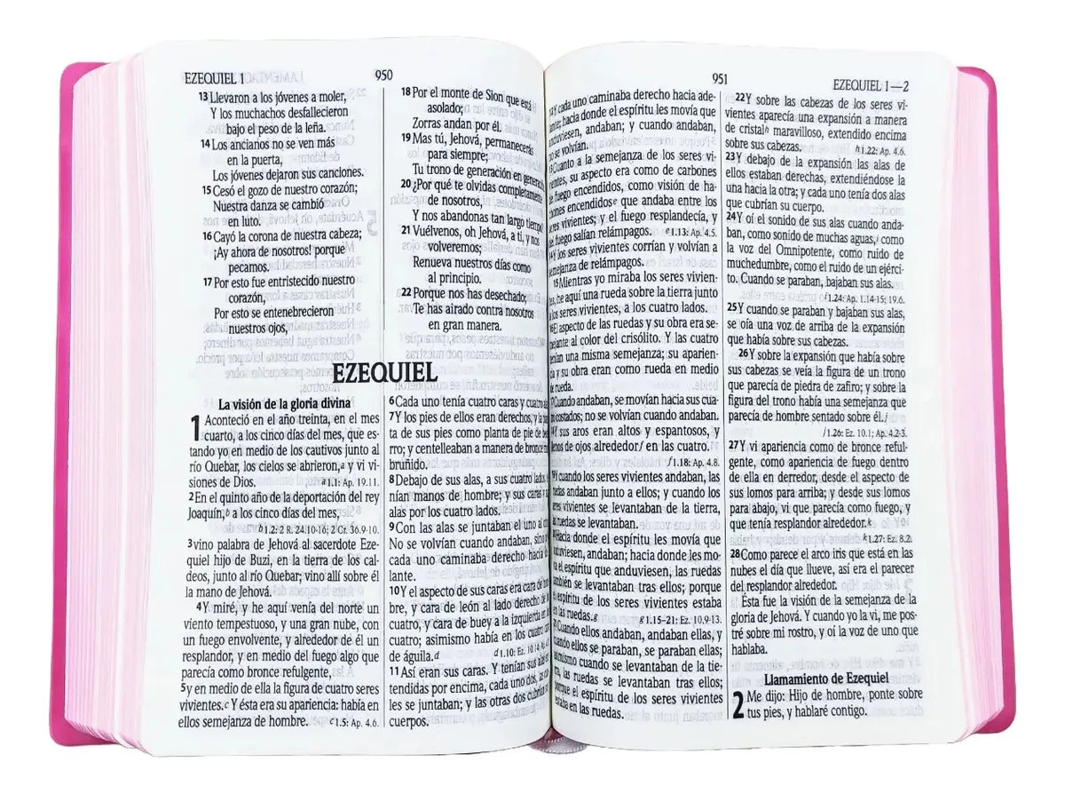 Biblia Reina Valera 1960 Letra Grande Diseño León Rosa