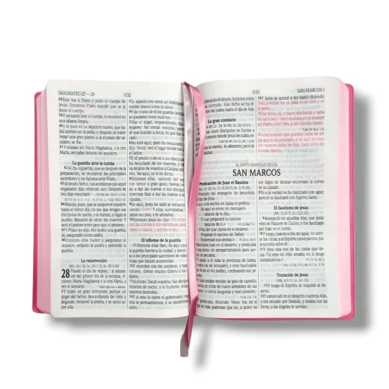 Biblia Reina Valera 1960 Letra Grande Diseño León Rosa