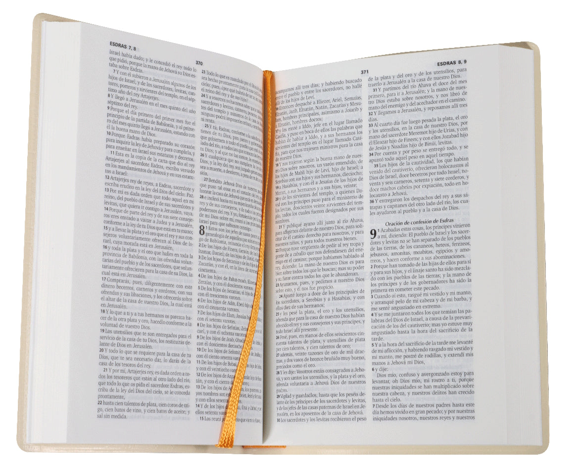 Biblia Reina Valera compacta vinil beige