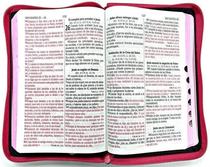 Biblia Letra Grande Jean Rosa Reina Valera 1960 con Cierre e Indice 12 Puntos