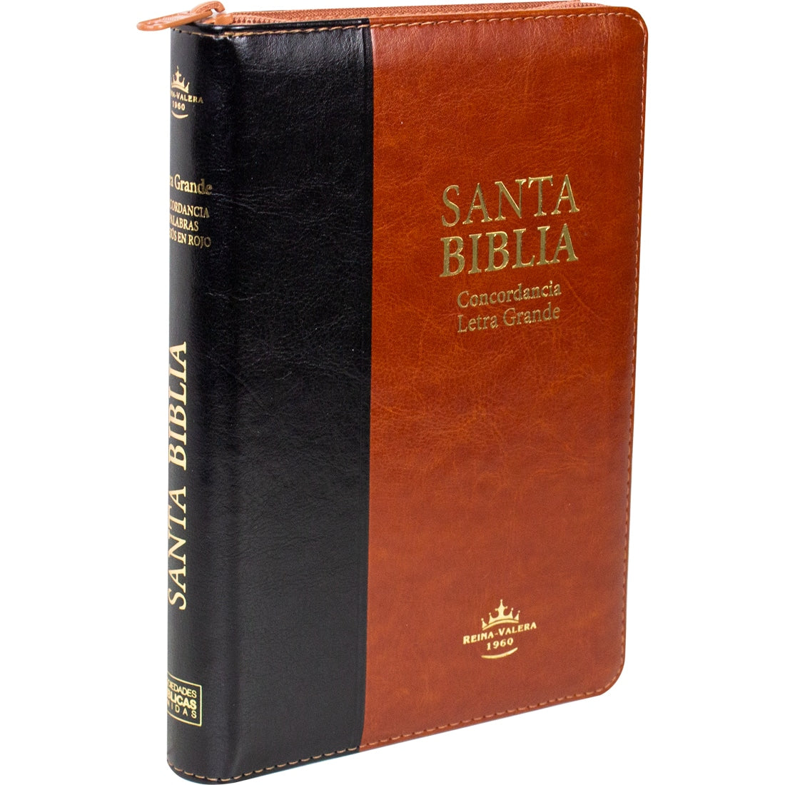 Biblia Reina Valera 1960 Bicolor Letra Grande Concordancia Índice Cierre