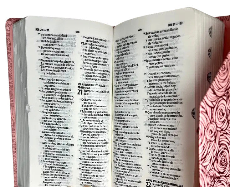 Biblia RVR60 Rosa Tapa Agenda con Concordancia, Índice, canto plateado portátil
