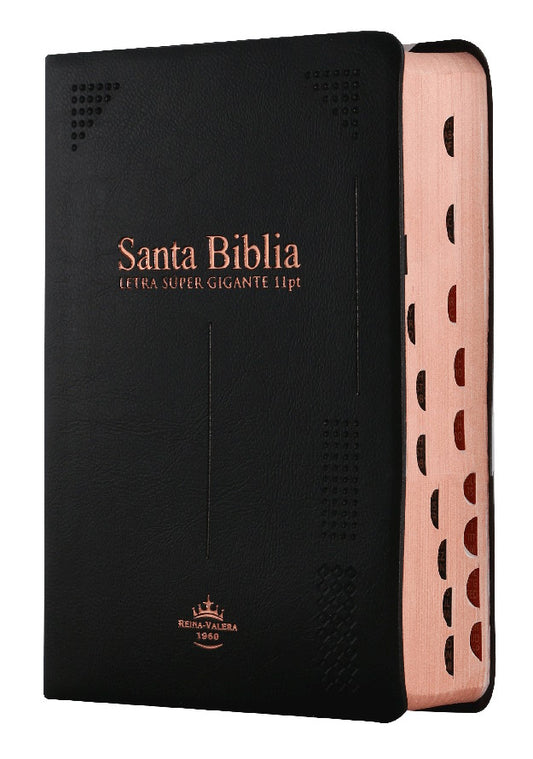 Biblia Reina Valera 1960 Chica Letra Grande Vinil Negro