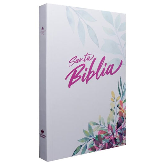 Biblia de Reina Valera 1960 rústica para evangelismo misionera mujer