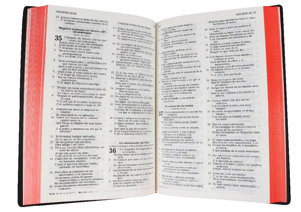 Biblia Reina Valera 1960 mediana letra 8,5 puntos canto rojo
