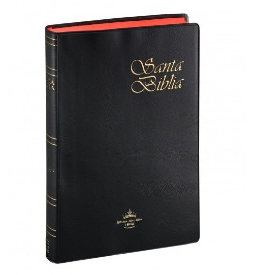 Biblia Reina Valera 60 negra concordancia