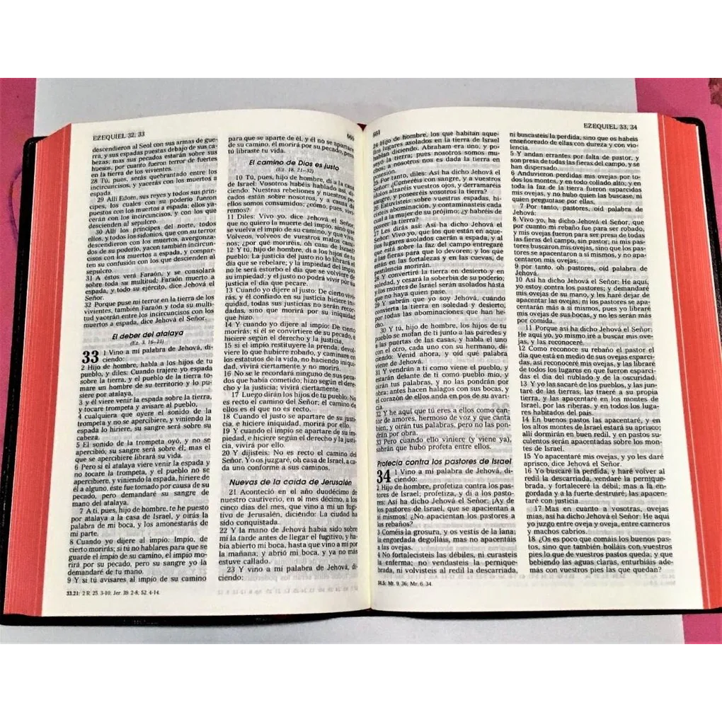 Biblia Reina Valera 60 negra concordancia