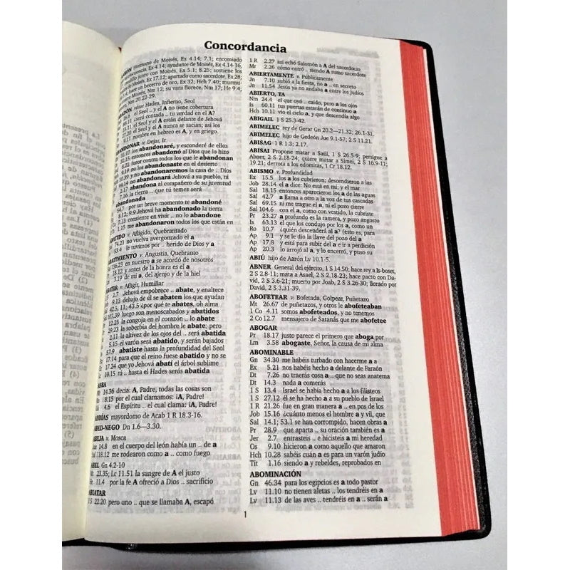 Biblia Reina Valera 60 negra concordancia