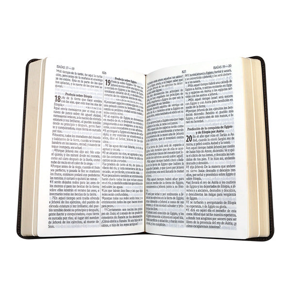 BIblia Reina Valera 1960 Letra Grande Pastoral Azul