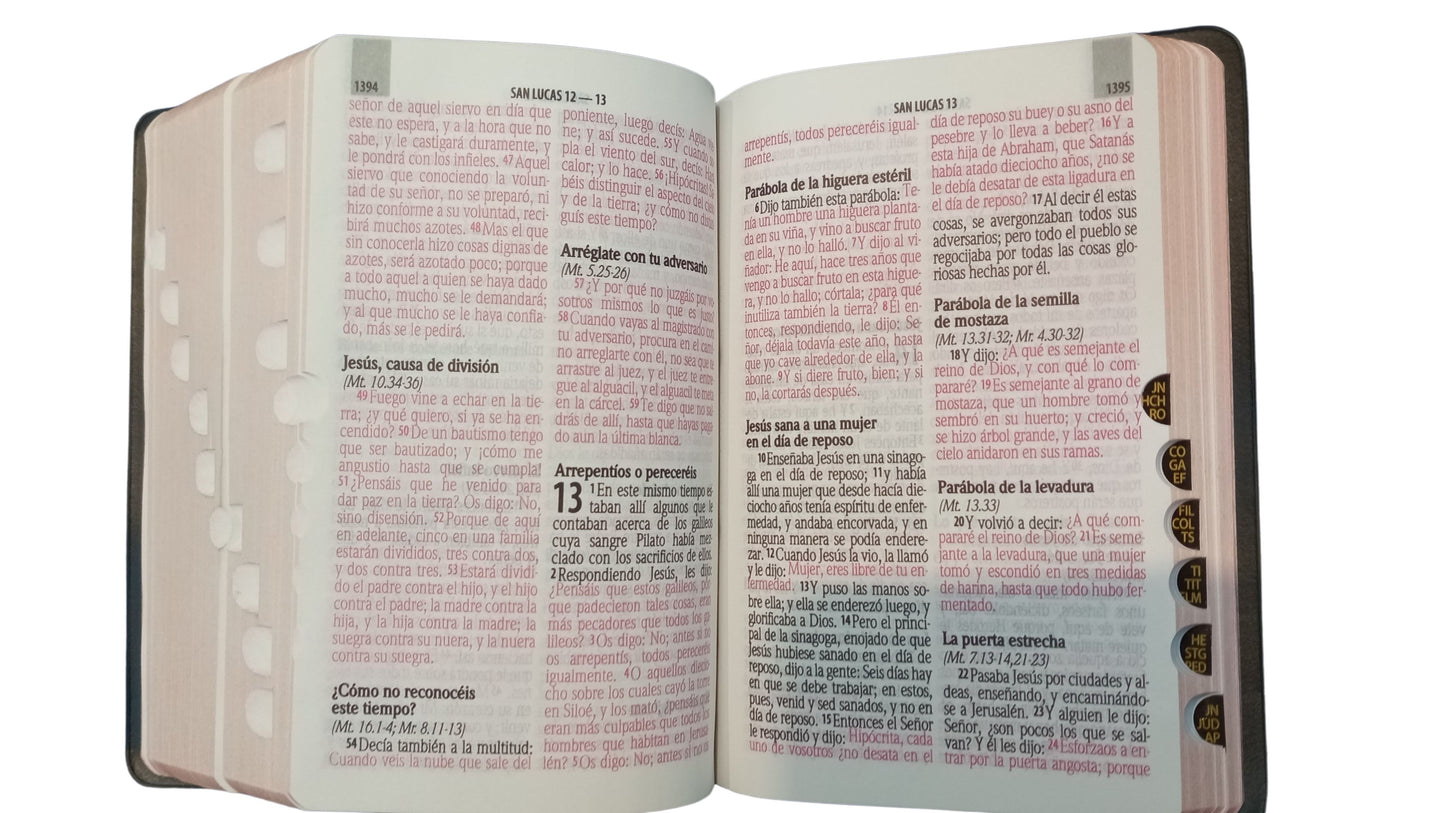 Biblia Reina Valera 1960 Tamaño Bolsillo Letra 9 puntos Vinil Negro canto color bronce