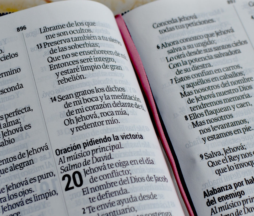 Biblia Reina Valera 1960 compacta letra grande 11 puntos canto azul índice