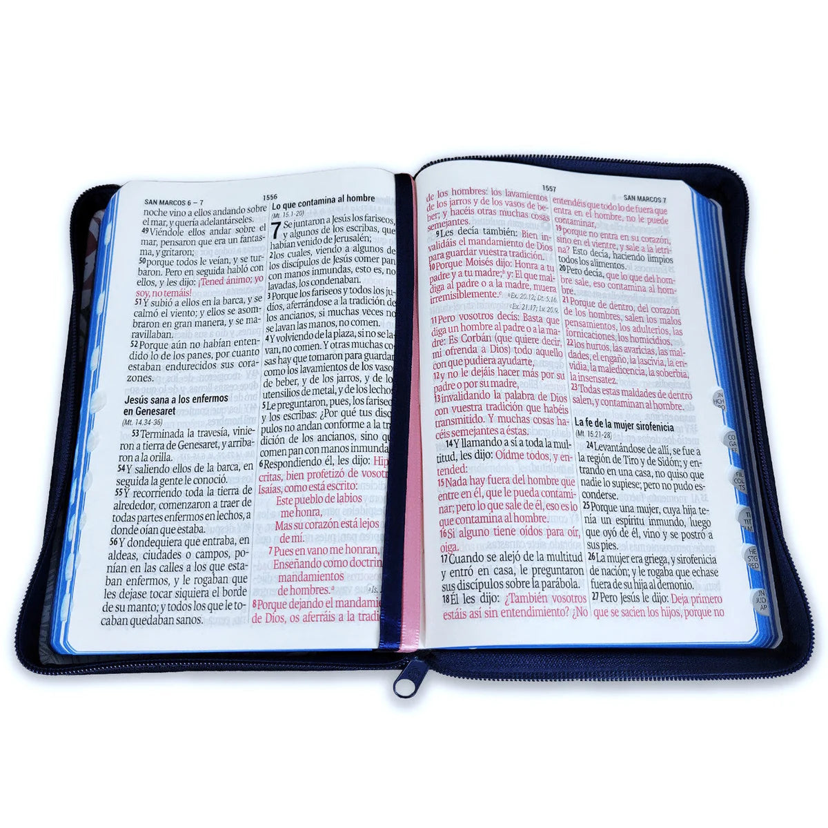 Biblia Reina Valera 1960 Letra gigante 14 puntos flores con cierre
