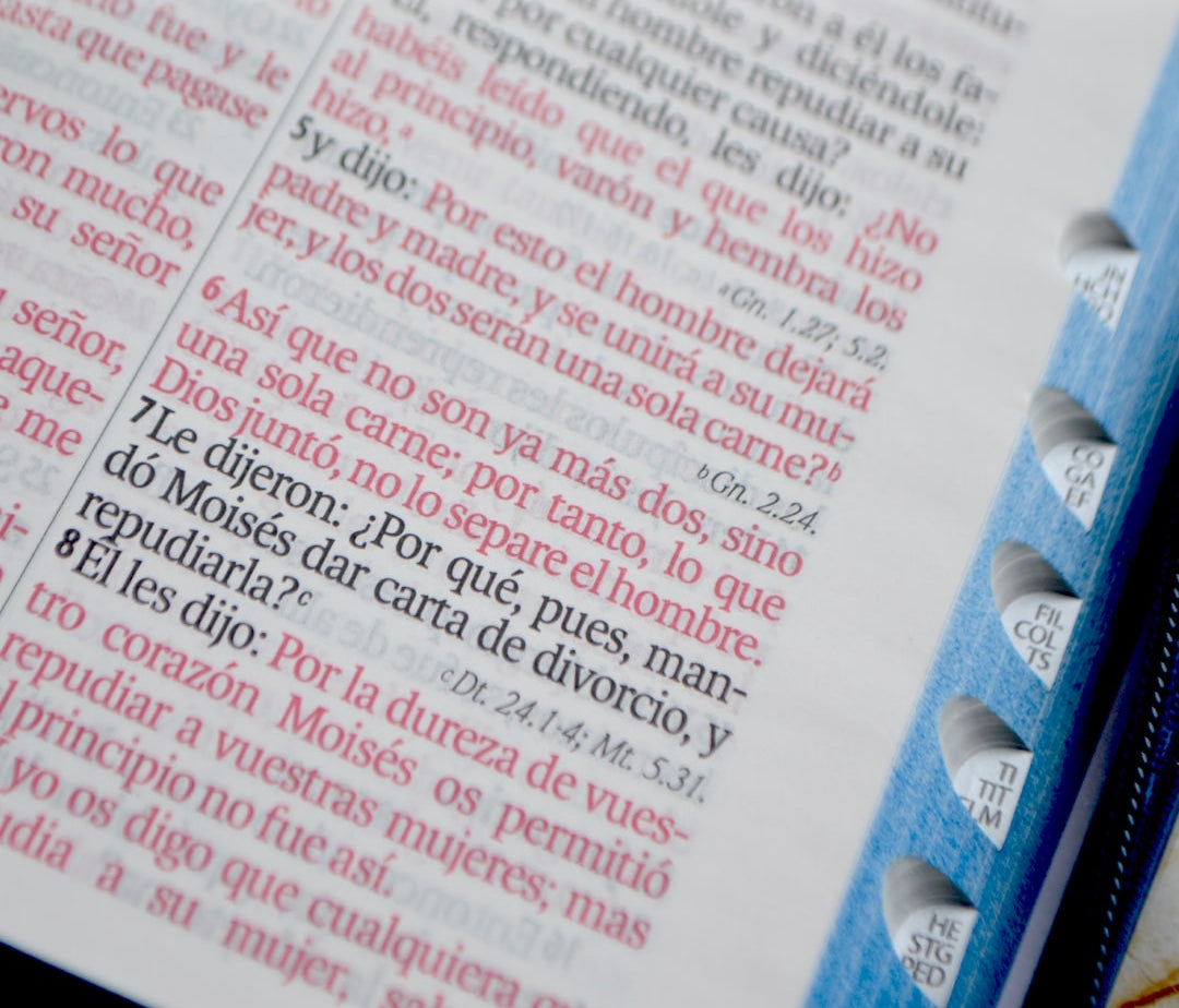 Biblia Reina Valera 1960 Letra gigante 14 puntos flores con cierre