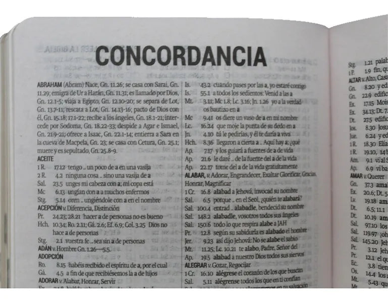 Biblia Reina Valera 1960 letra grande 12 puntos tapa semiflexible león azul