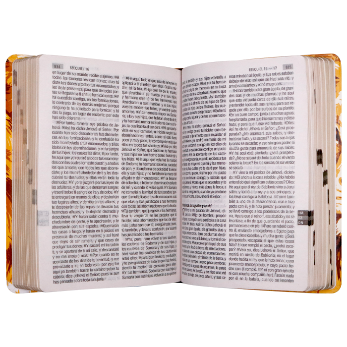 Biblia Reina Valera 1960 letra grande 12 puntos tapa semiflexible león