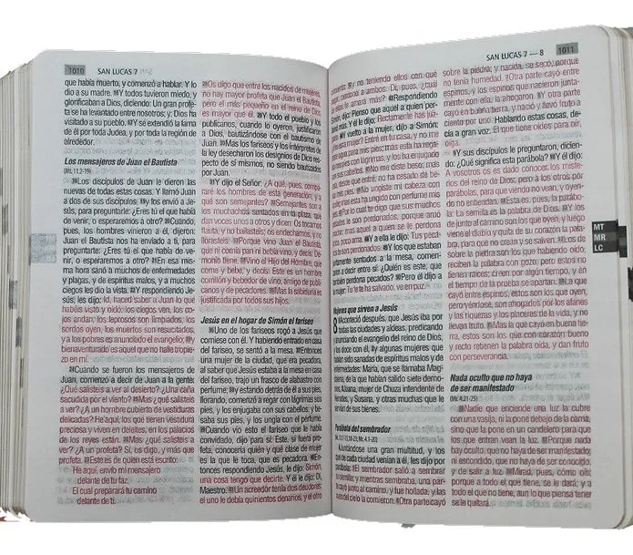 Biblia Reina Valera 1960 letra grande 12 puntos tapa semiflexible flores