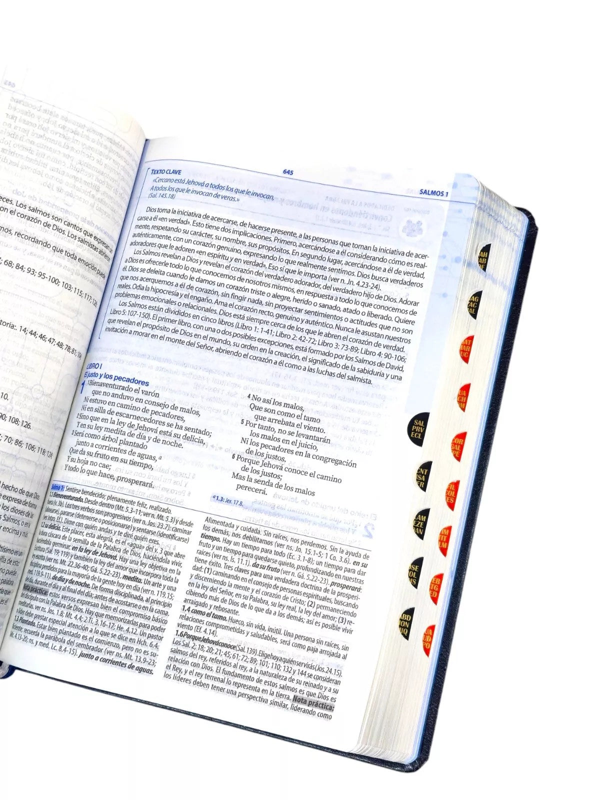 Biblia de Estudio del Discipulado Reina Valera 1960