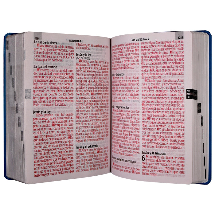 Biblia RVR1960 Letra Gigante Concordancia Semiflex Azul/flores