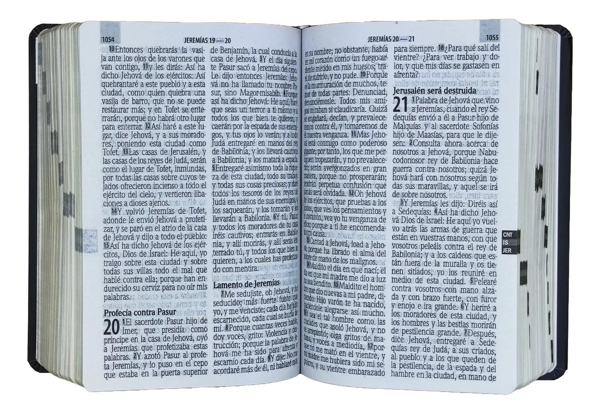 Biblia RVR1960 Letra Gigante Concordancia Semiflex Negra