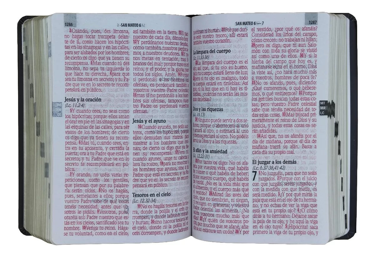 Biblia RVR1960 Letra Gigante Concordancia Semiflex Negra