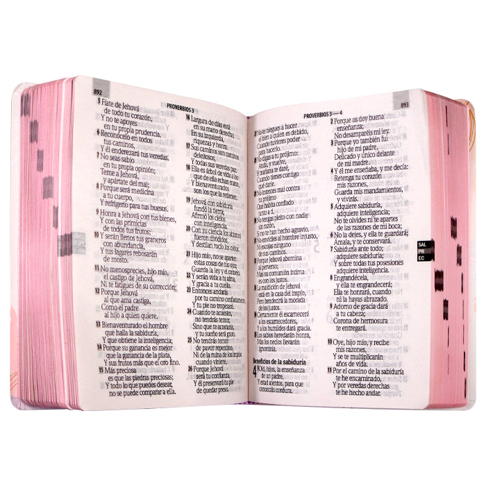 Biblia RVR1960 Letra Gigante Concordancia Semiflex