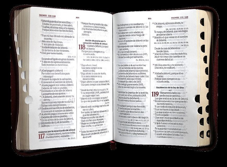 Biblia Reina Valera 1960 Mediana Letra Grande Imitación Piel Vino QR