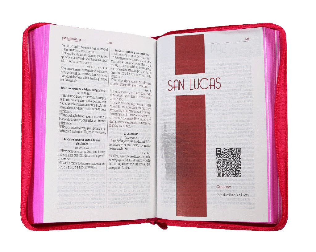 Biblia Reina Valera 1960 Fucsia Cierre Letra Grande