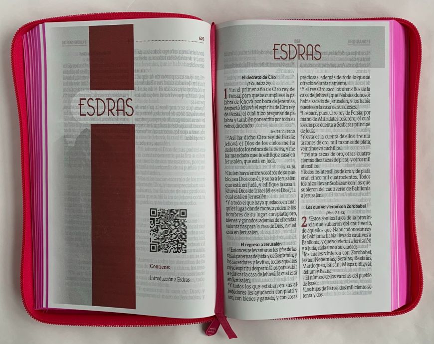 Biblia Reina Valera 1960 Fucsia Cierre Letra Grande