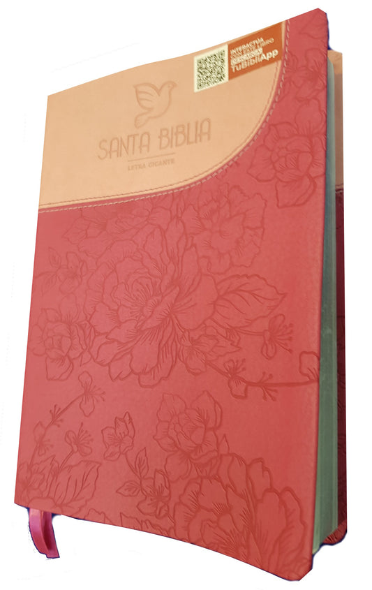 Biblia Reina Valera 1960 Letra gigante – Bicolor fucsia / rosado sin cierre