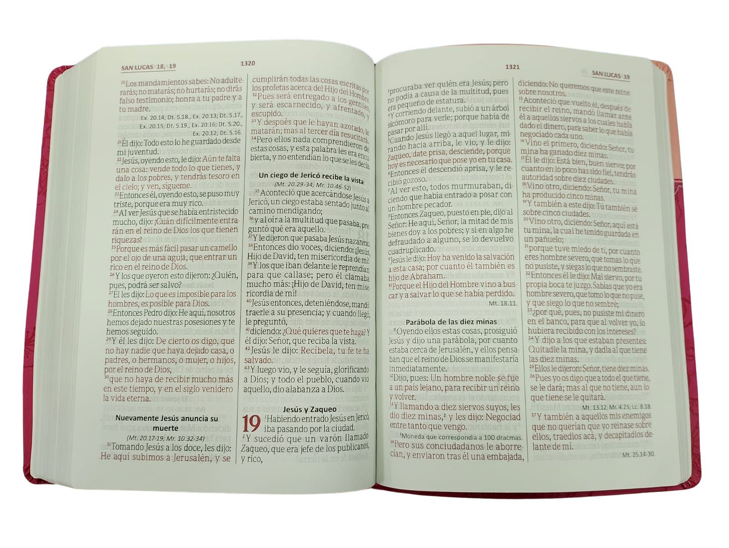Biblia Reina Valera 1960 Letra gigante – Bicolor fucsia / rosado sin cierre
