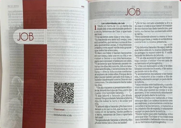 Biblia Reina Valera 1960 Letra gigante – Bicolor fucsia / rosado sin cierre