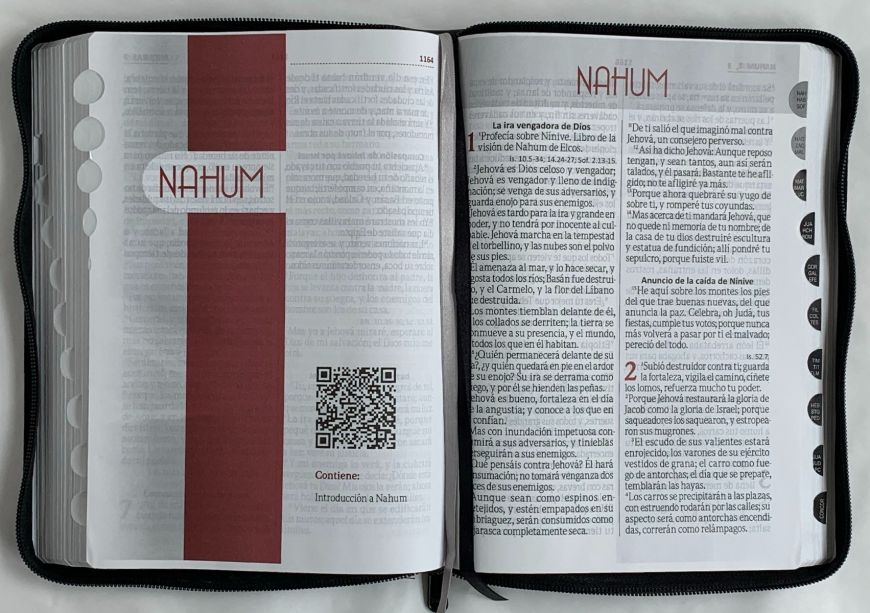 Biblia Reina Valera 1960 Letra Gigante con cierre e índice