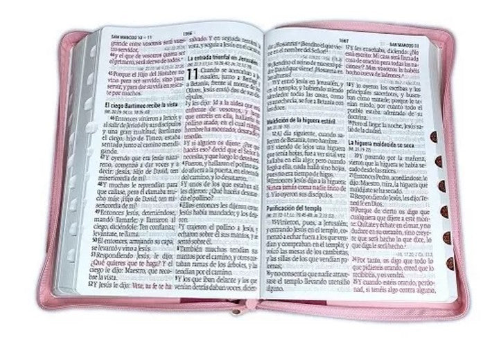 Biblia Reina Valera 1960 Grande Letra Super gigante Imitación Piel Rosa Fucsia