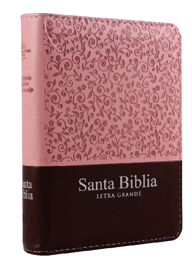 Biblia RVR1960 de bolsillo 9 puntos cierre e índice rosa marrón