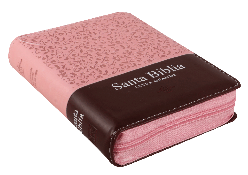 Biblia RVR1960 de bolsillo 9 puntos cierre e índice rosa marrón