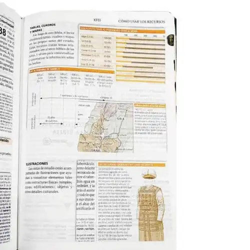 Biblia De Estudio Teológico Reina Valera 1960 índice tamaño mediano