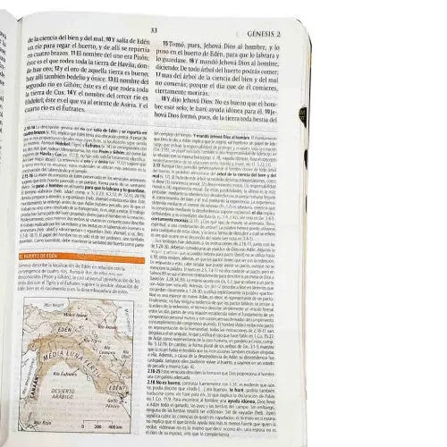 Biblia De Estudio Teológico Reina Valera 1960 índice tamaño mediano