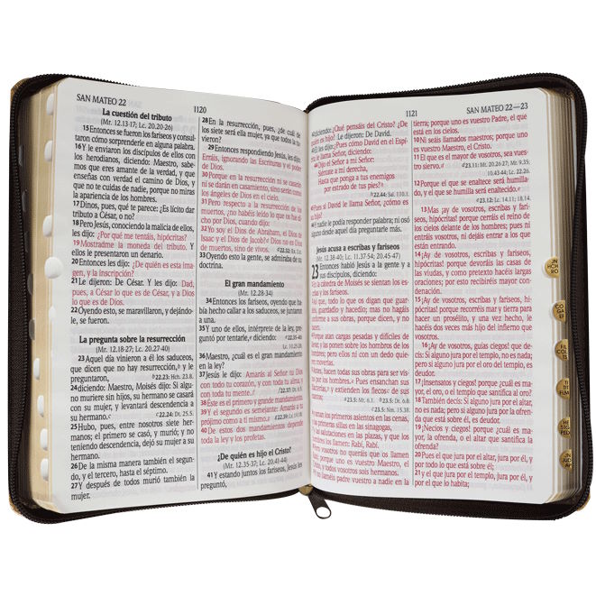 Reina Valera 1960 Letra grande índice concordancia Leon Dorado