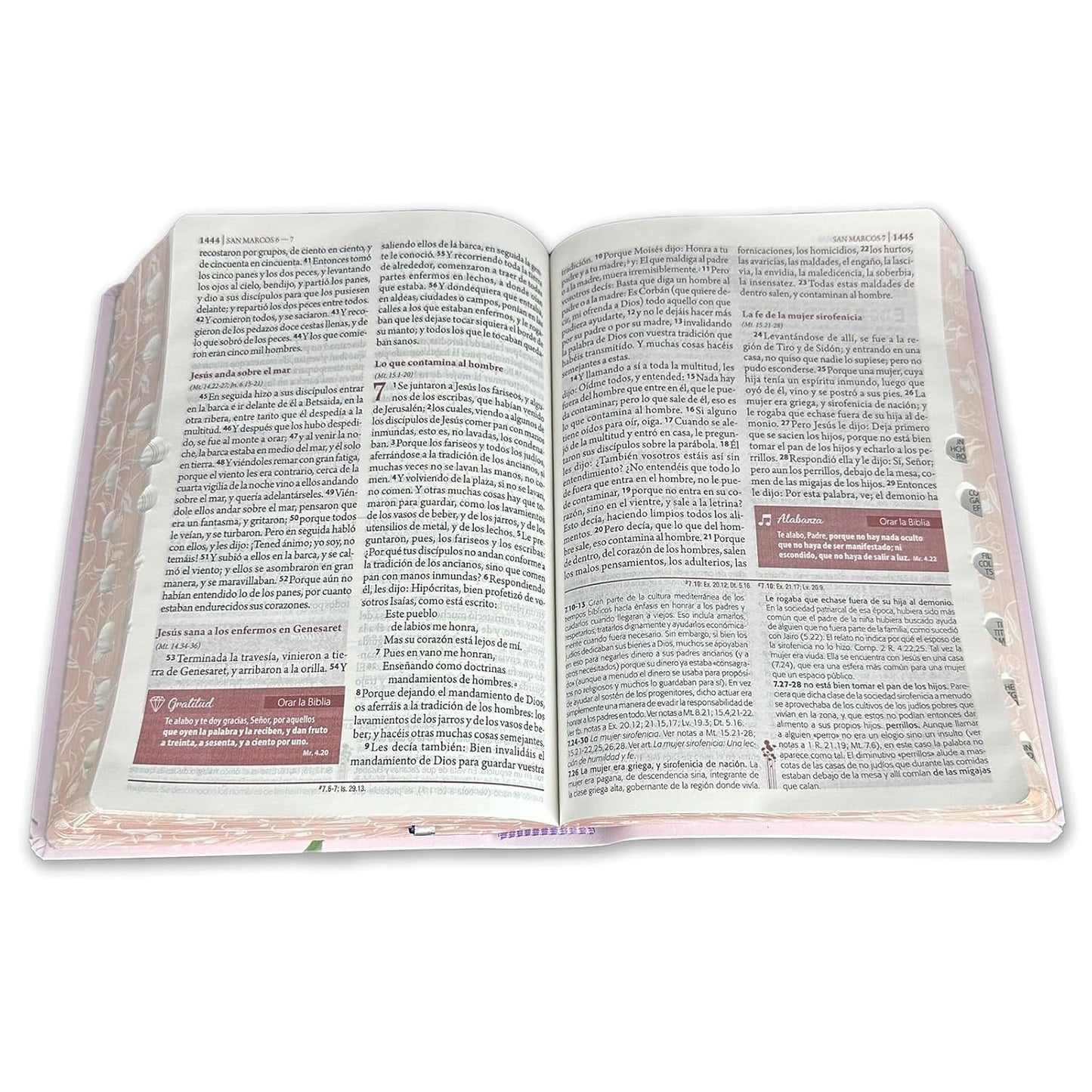 Biblia de Estudio Mujer RVR60 Letra grande índice Tulipán imitación piel