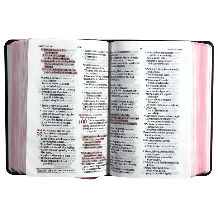 Biblia Reina Valera 1960 Compacta Fuente de Bendiciones Tapa dura Flores