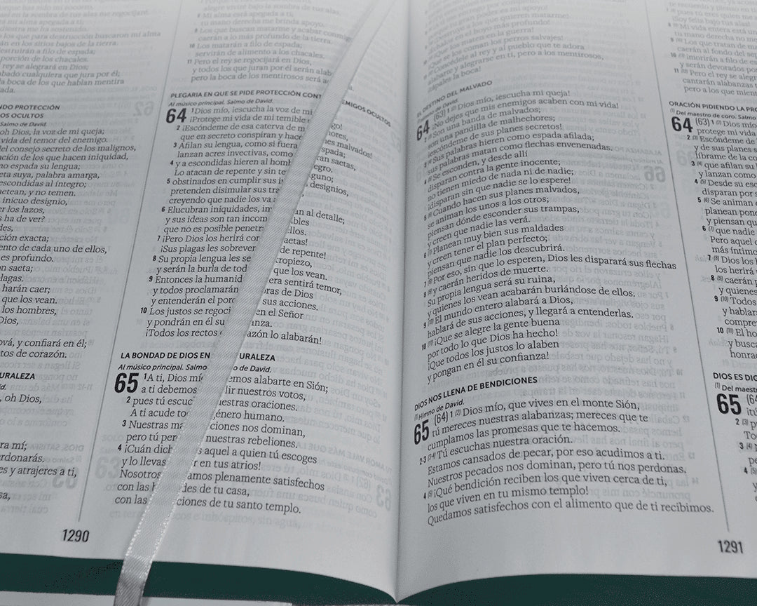 Biblia Multiversiones RVR RVC DHH TLA paralela