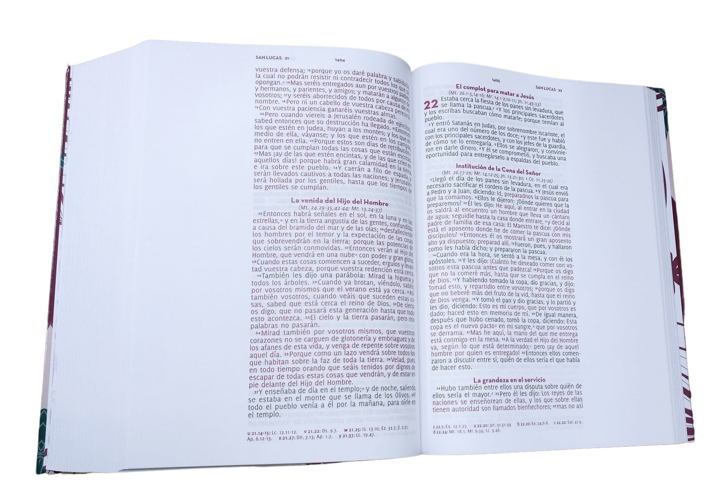 Biblia Adoro RVR 1960 12 puntos, 52 reflexiones, tapa dura