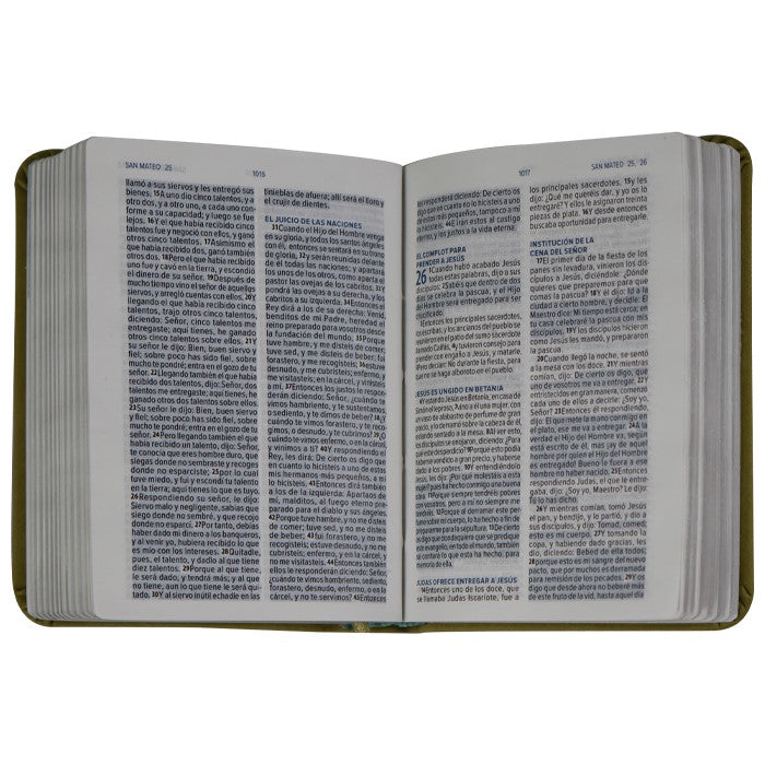 Biblia minibolsillo RVR1960 verde.