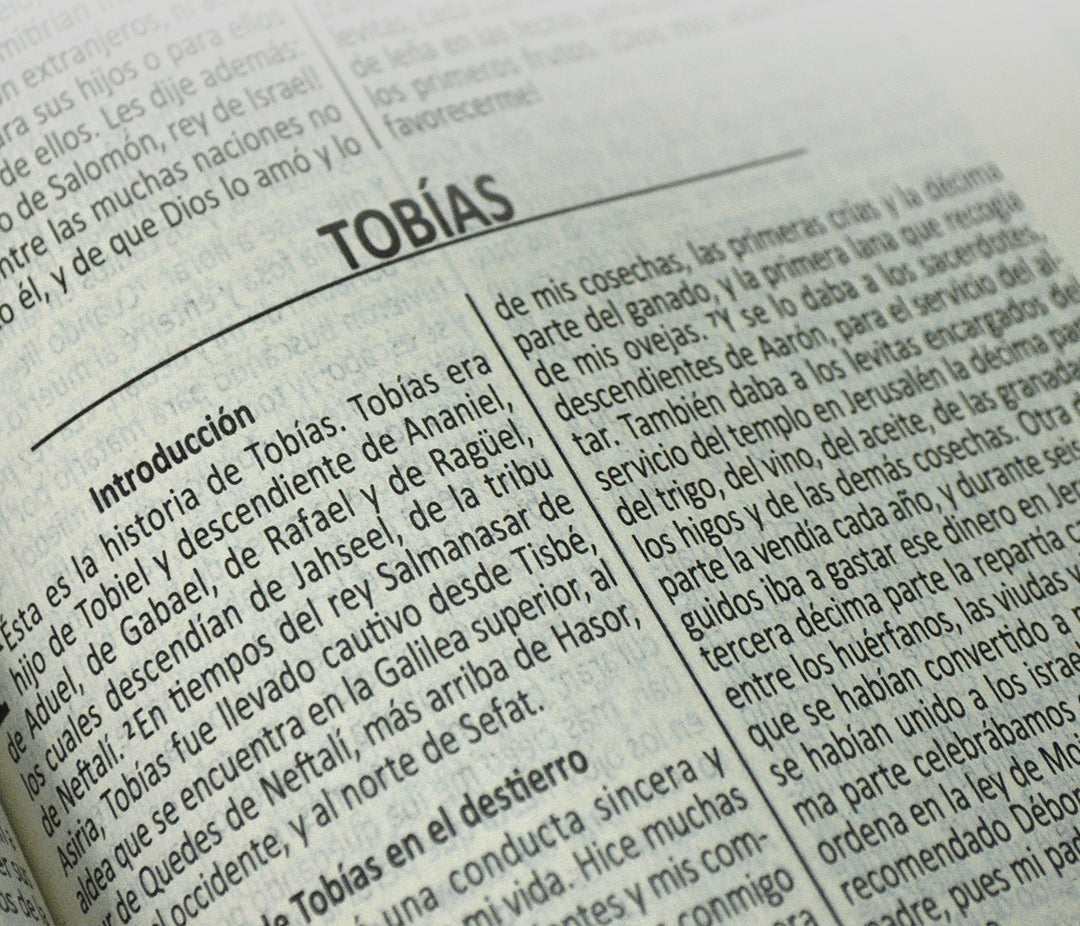 Biblia DHH edición católica, versión económica
