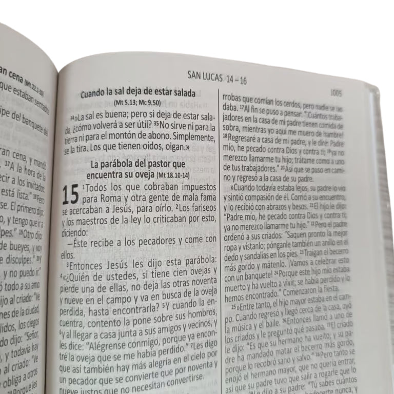 Biblia DHH edición católica, versión económica