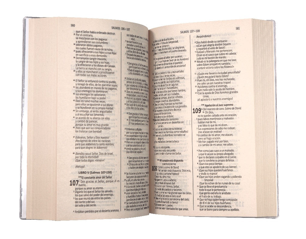 Biblia DHH edición católica, versión económica Buen pastor