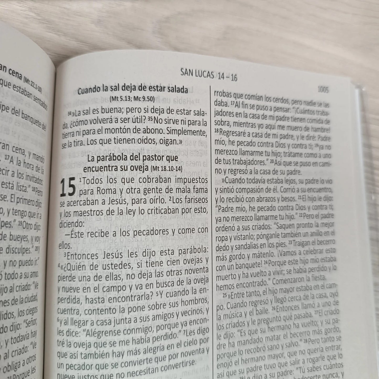Biblia DHH edición católica, versión económica Buen pastor