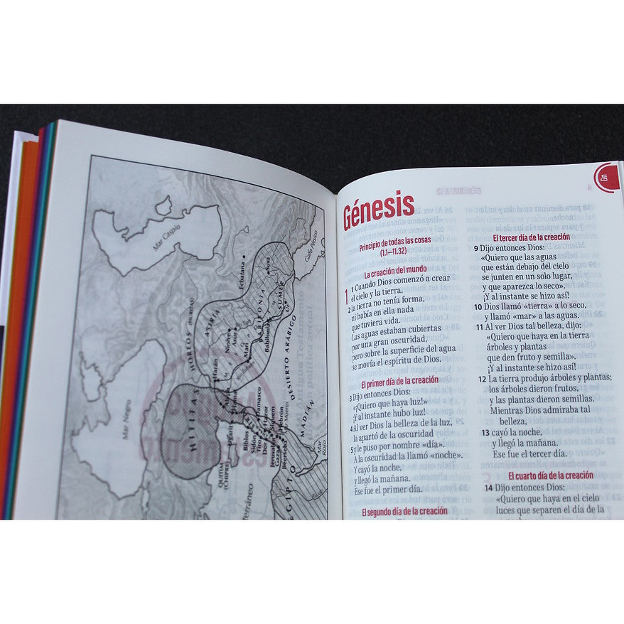 Biblia Familias Saludables TLA Letra Grande 11 puntos Tapa dura